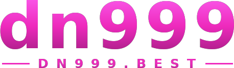 dn999 logo